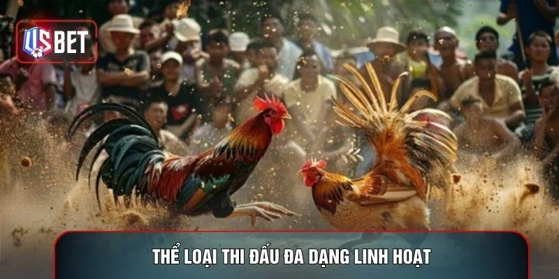 Thể loại thi đấu đa dạng linh hoạt